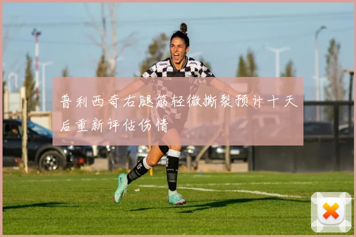 普利西奇右腿筋轻微撕裂预计十天后重新评估伤情
