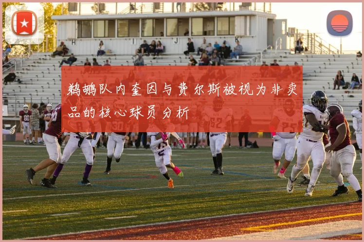 鹈鹕队内奎因与费尔斯被视为非卖品的核心球员分析